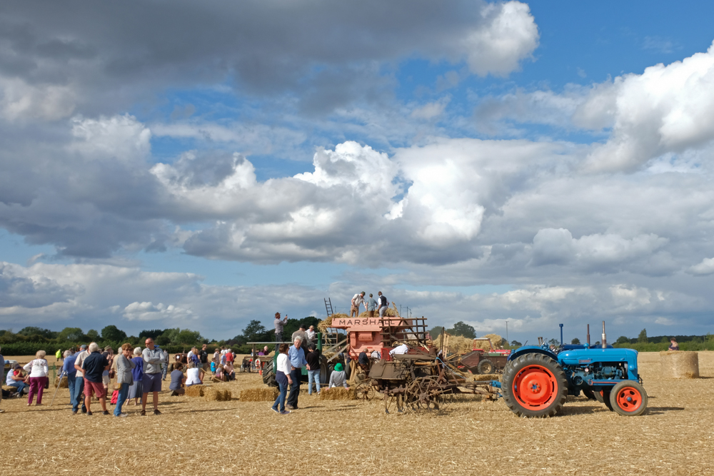 Field of acticity at Dentill 2019